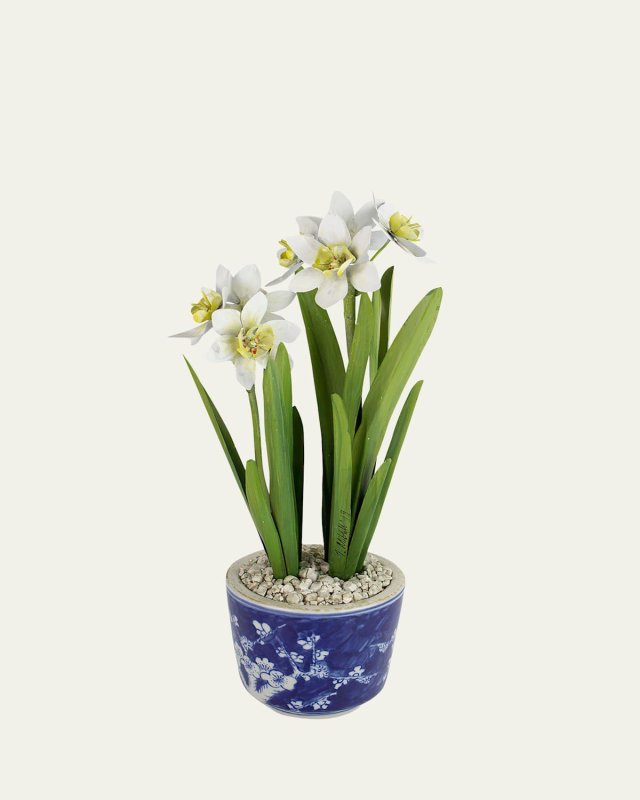 Narcissus December Birth Flower in Blue/White Ceramic Pot